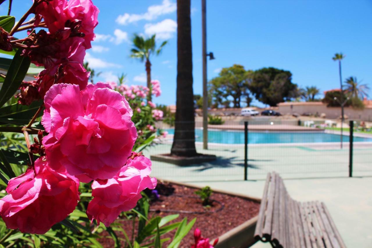 Soleado Apartamento Vistas Al Mar Los Cristianos Los Cristianos  Εξωτερικό φωτογραφία